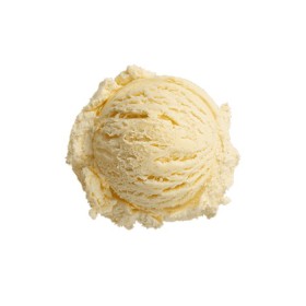Praf de inghetata soft, Gusto Phoenix, aroma de vanilie galbena, 2.5kg Produse 73,09 lei