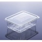 Caserole plastic, capac atasat, 1000gr (100buc)