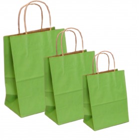 Punga hartie kraft, design verde deschis, maner snur, 25x14xh30cm, 100buc Pungi colorate cu maner 143,52 lei
