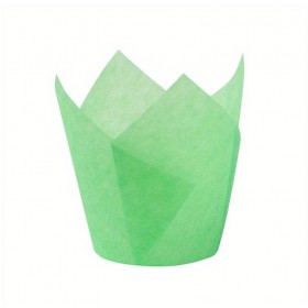 Chese lalea, verzi, 50*80mm (150buc) Produse 28,86 lei