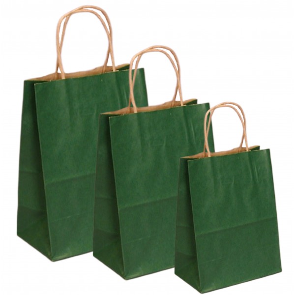 Punga hartie kraft, design verde inchis, maner snur, 16x9xh21cm, 100buc Produse 95,20 lei