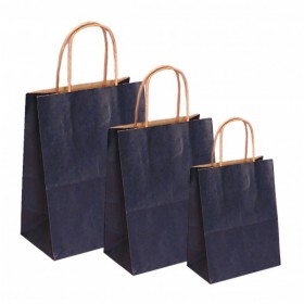 Punga hartie kraft, design albastru, maner snur, 16x9xh21cm, 100buc Sacose 95,20 lei