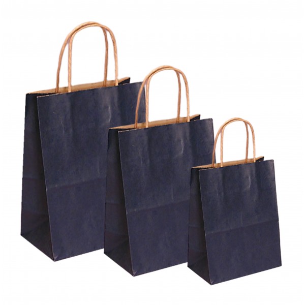 Punga hartie kraft, design albastru, maner snur, 16x9xh21cm, 100buc Sacose 98,06 lei