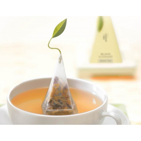 Ceasca pentru ceai din portelan Cafe Cup - Tea Forte Produse 95,00 lei