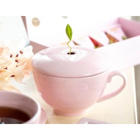 CEASCA PENTRU CEAI DIN PORTELAN CAFE CUP PINK Produse 95,00 lei