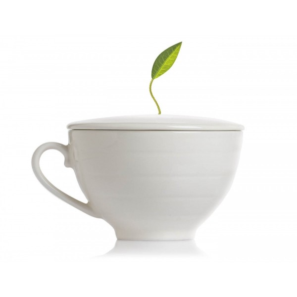 Pachet cadou accesorii pentru ceai Cafe Cup Presentation gift - Tea Forte Produse 263,00 lei