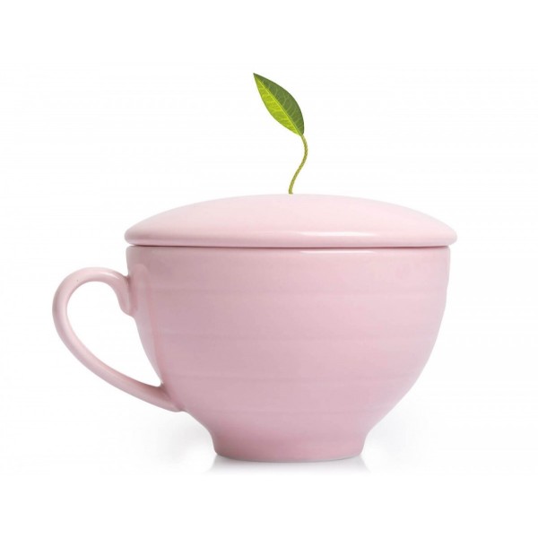 Set cadou ceai si accesorii ceai Jardin gift set - Tea Forte Produse 299,00 lei