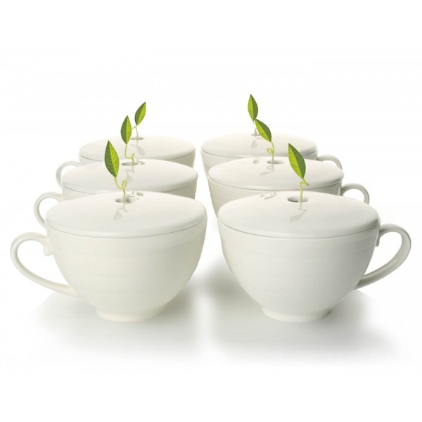 Set de 6 cani ceai Cafe Cup - Tea Forte Produse 456,00 lei