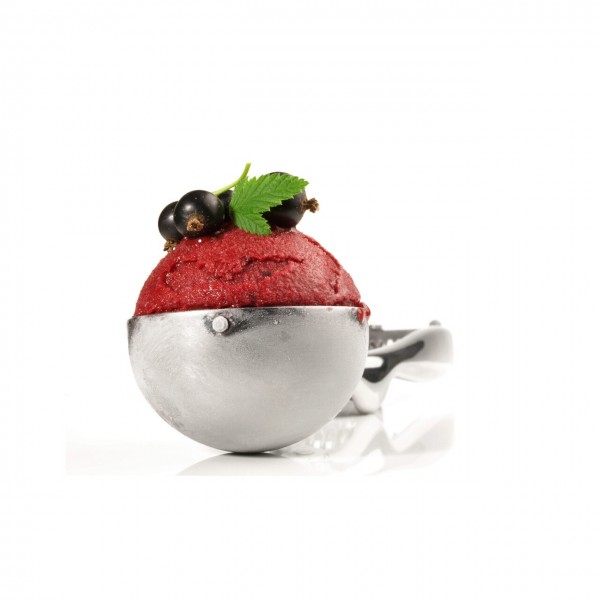 Lingura dozatoare inghetata, 1/36L, diam cupa 48mm, Hendi Profi Line, Inox, maner poliamid Produse 168,07 lei