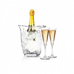 Frapiera, racitor vin, sampanie, policarbonat transparent, 22x18.5x (h)22.6cm