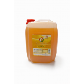 Sirop pentru granita, Valeriana, exotic, 5L Sirop granita | Topping 131,95 lei