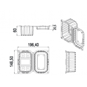 Caserole fructe, cu capac, 250gr, 146.5*196.4*h73, 100buc Produse 54,29 lei