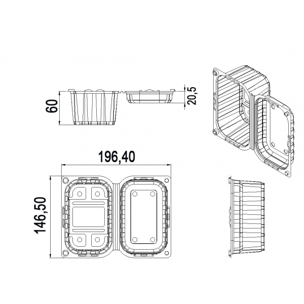 Caserole fructe, cu capac, 250gr, 146.5*196.4*h73, 100buc Produse 54,29 lei