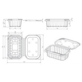 Caserole fructe, cu capac plat, 250gr, 140*190*h45, 100buc Produse 89,90 lei