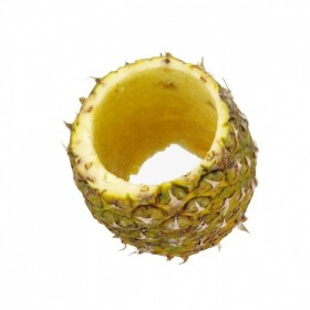 Dispozitiv de taiat ananas 240x100mm