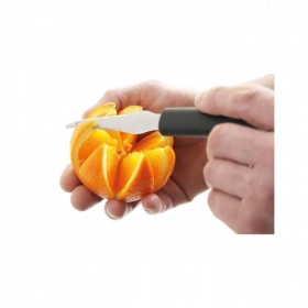 Cutit pentru citrice, lama inox 110 mm, lungime 215 mm,