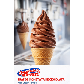 Praf pentru Inghetata soft, aroma de ciocolata, Gusto Phoenix, masini profesionale, 1kg Produse 31,72 lei