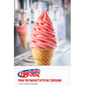 Praf pentru Inghetata soft, aroma de capsuni, Gusto Phoenix, masini profesionale, 1kg Gelaterie 26,44 lei