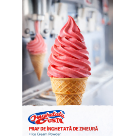 Praf pentru Inghetata soft, aroma de zmeura, Gusto Phoenix, masini profesionale, 1kg Produse 26,44 lei