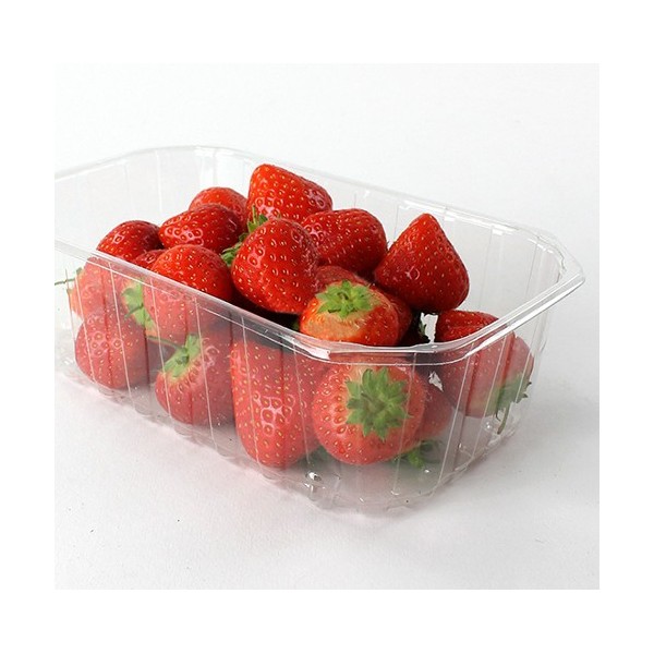 Caserole fructe, fara capac, 500gr, 190*118x*h61, 900buc Produse 476,79 lei