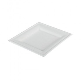 Farfurii trestie, biodegradabile, patrate, 20x20cm, 1000buc Produse 378,78 lei